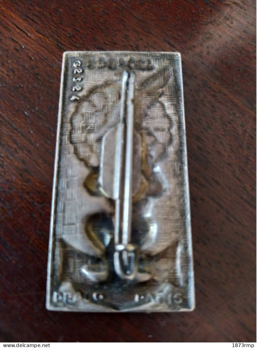 INSIGNE 420 BCS, ALBI, BATAILLON PARACHUTISTE DE COMMANDEMENT ET SOUTIEN, DRAGO - Army