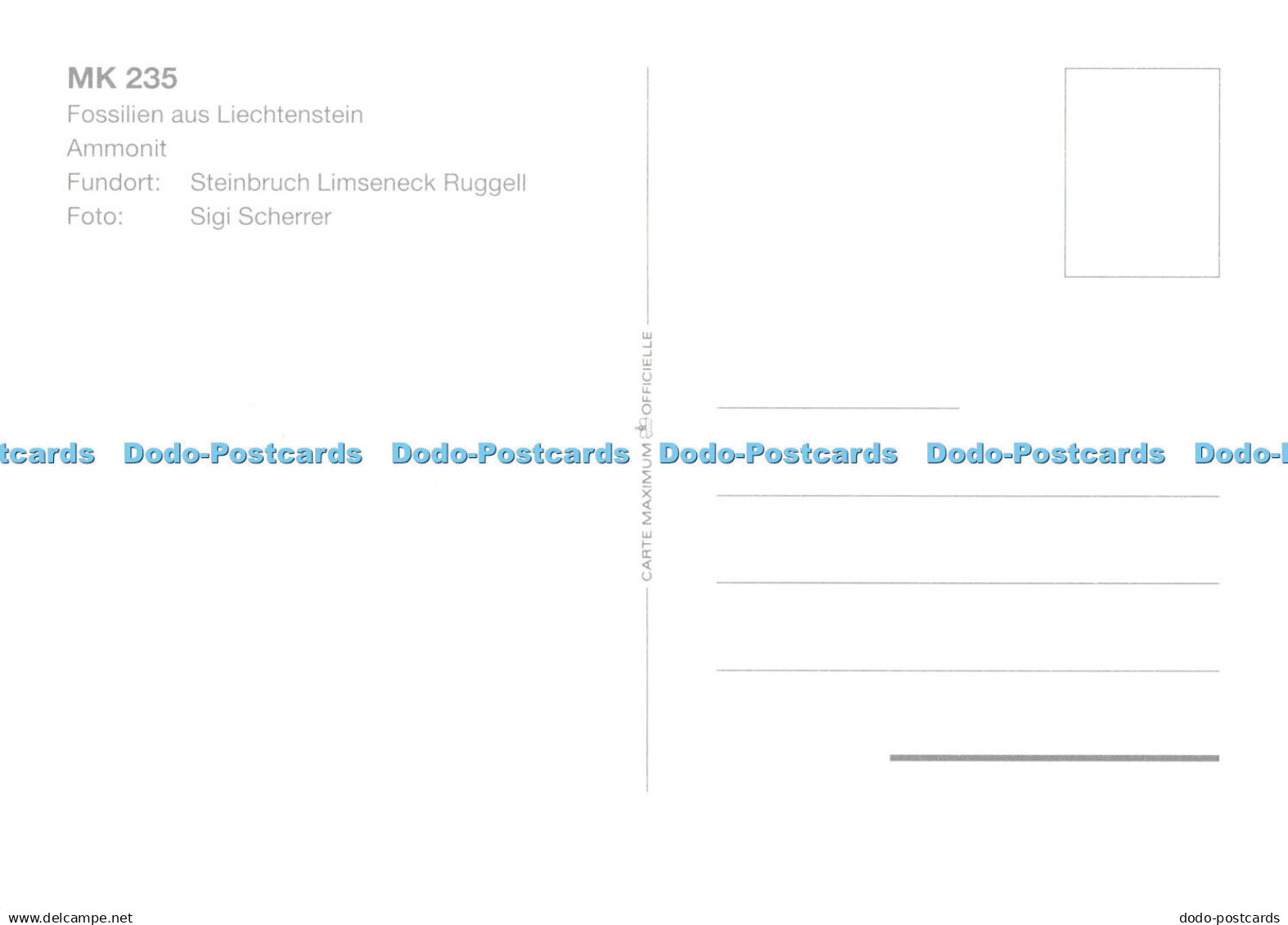 D109362 Ruggell. Furstentum Liechtenstein. Fossilien Aus Liechtenstein. Ammonit. - Monde