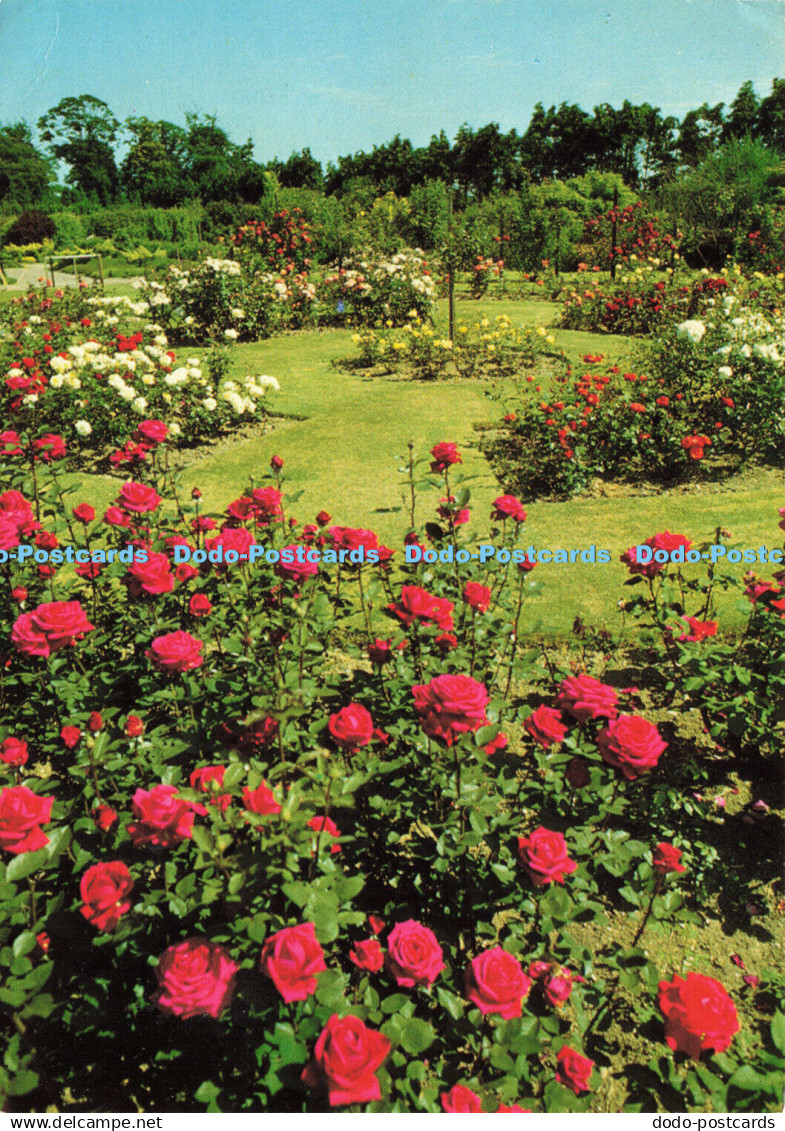 D167835 Norfolk. Norfolk College Of Horticulture. North Burlingham. Jarrold - Monde
