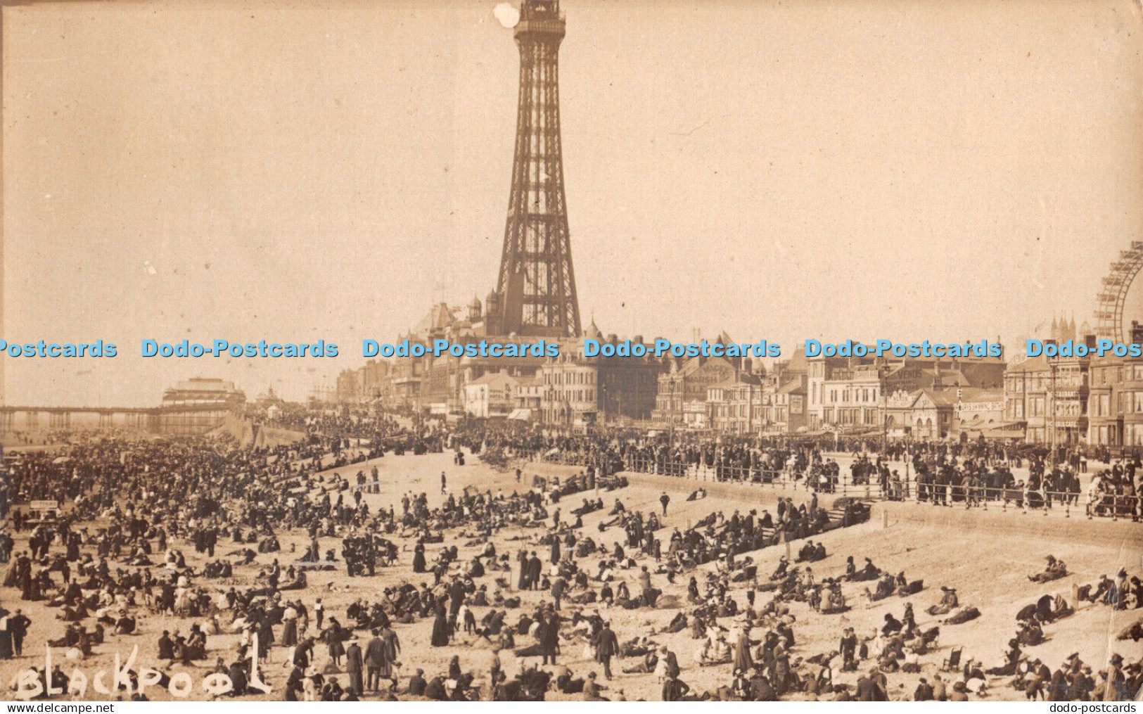 R375995 Blackpool - Monde