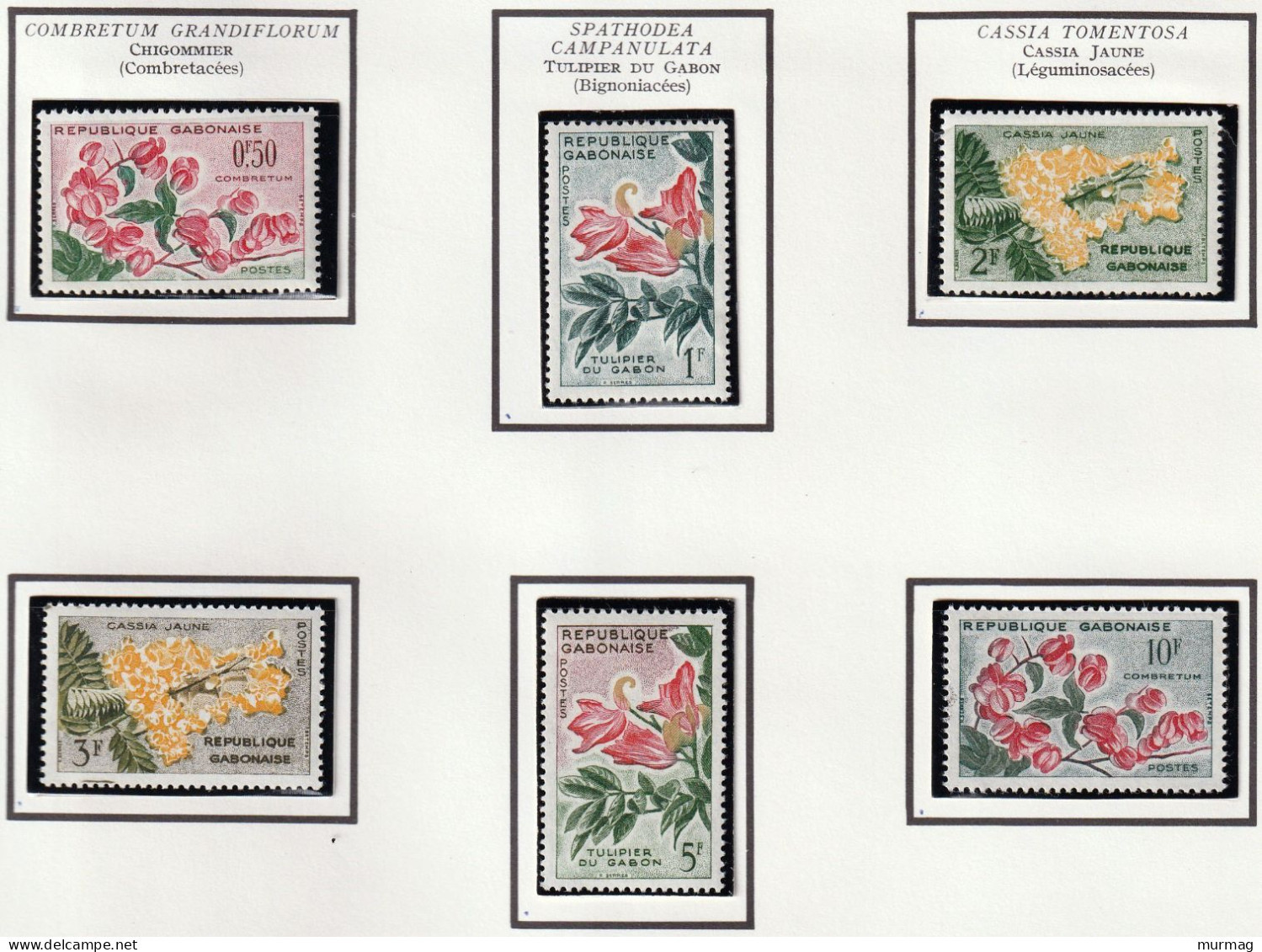 GABON - Fleurs, Flowers, Chigommier, Tulipier, Cassia Jaune - Y&T N° 153-158 - 1961 - MNH - Gabon (1960-...)