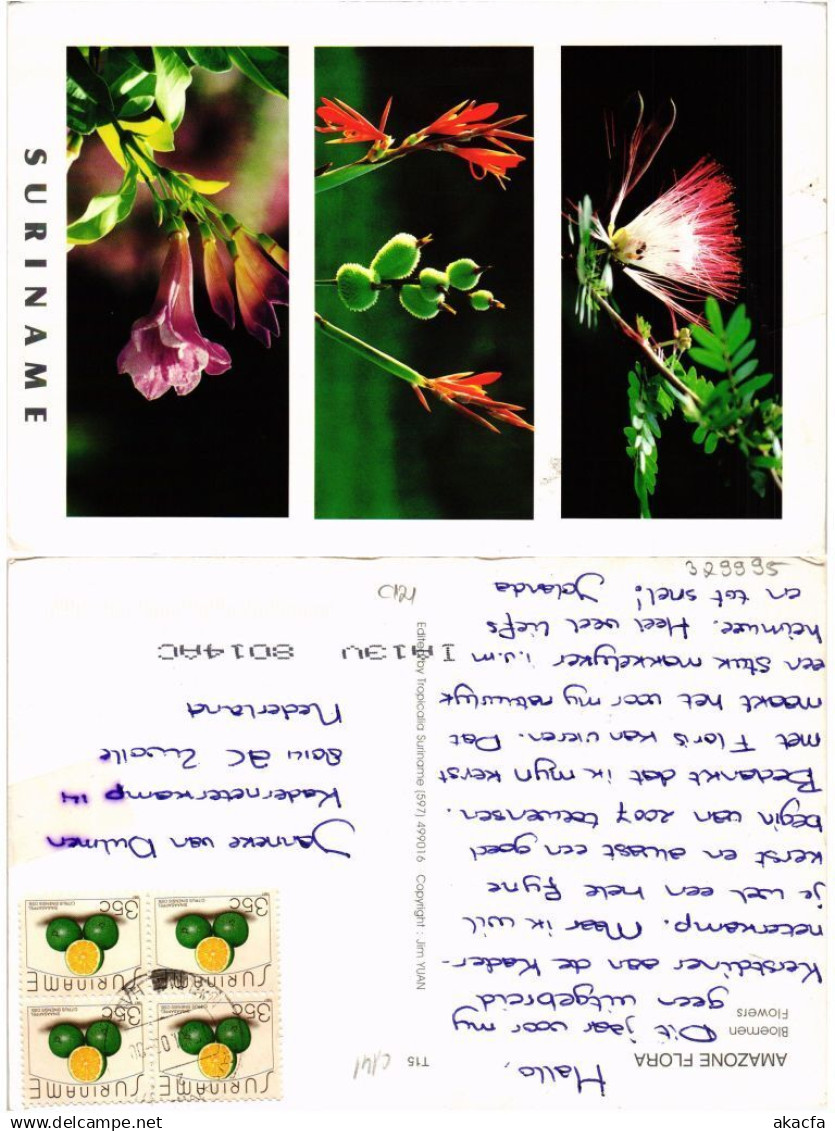 CPM SURINAME-Amazone Flora-Flowers (329995) - Surinam