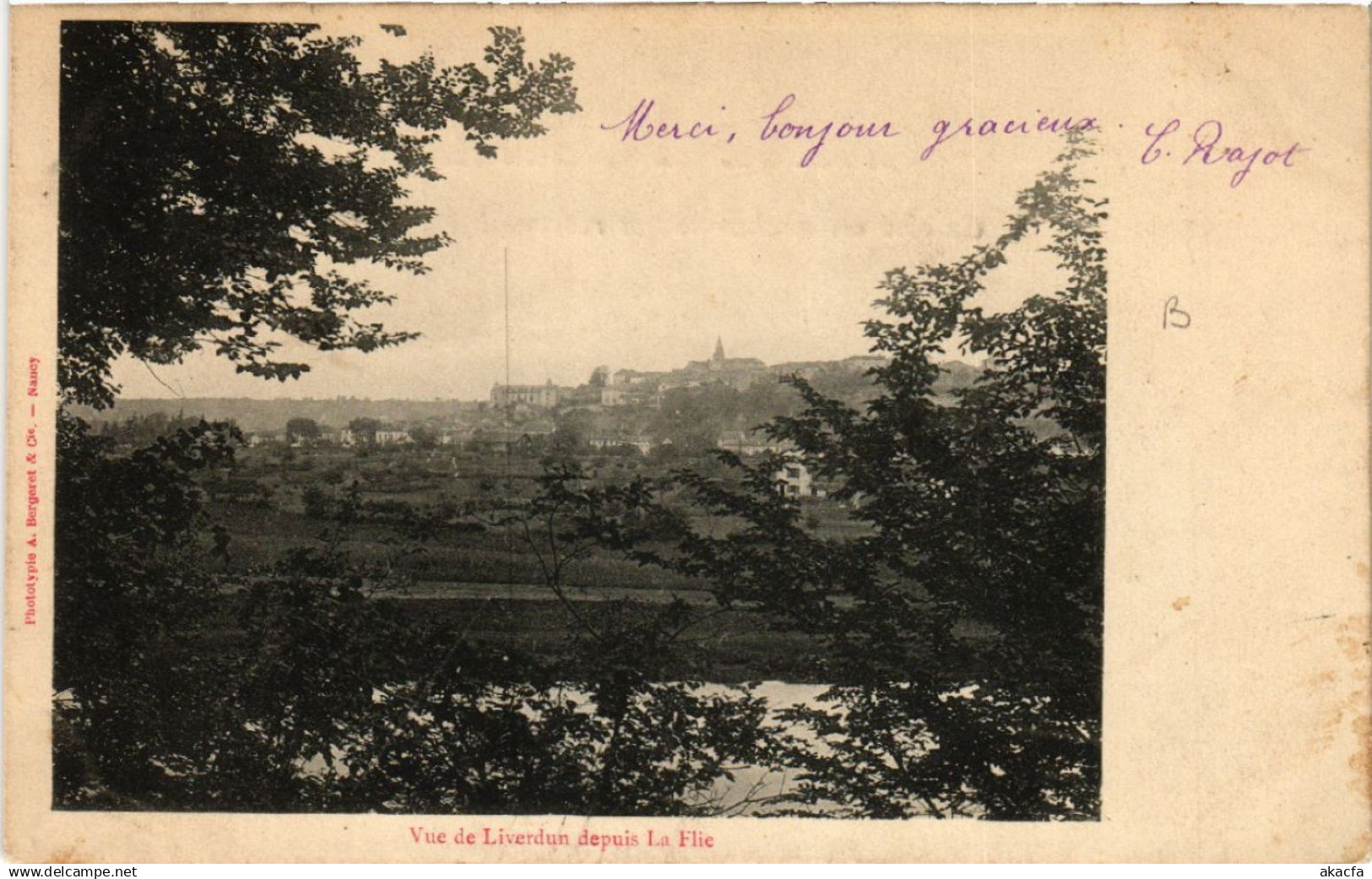 CPA LIVERDUN - Vue De LIVERDUN Depuis La Flie (483955) - Liverdun