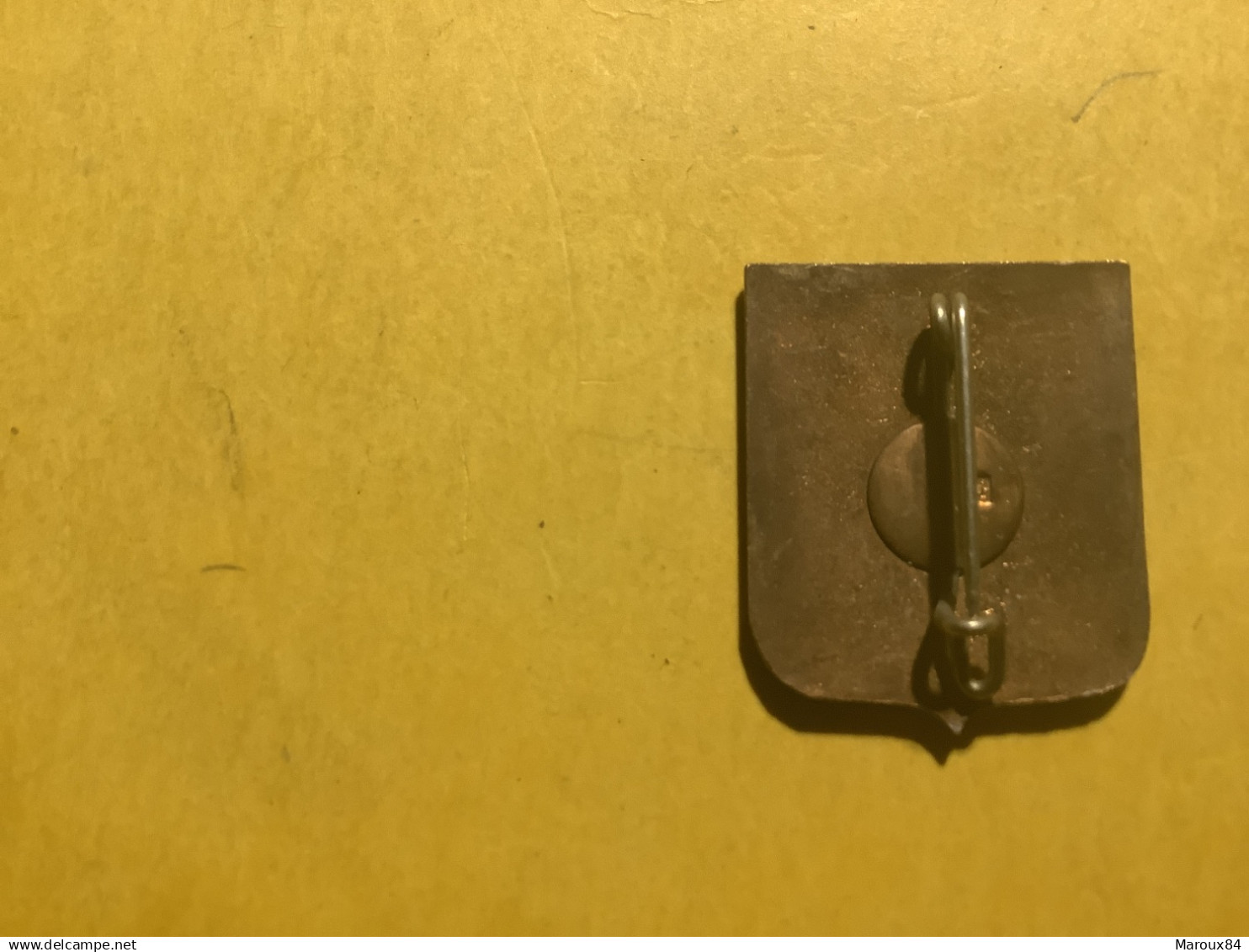 Insigne Marine 13e S.d Dragage - Navy