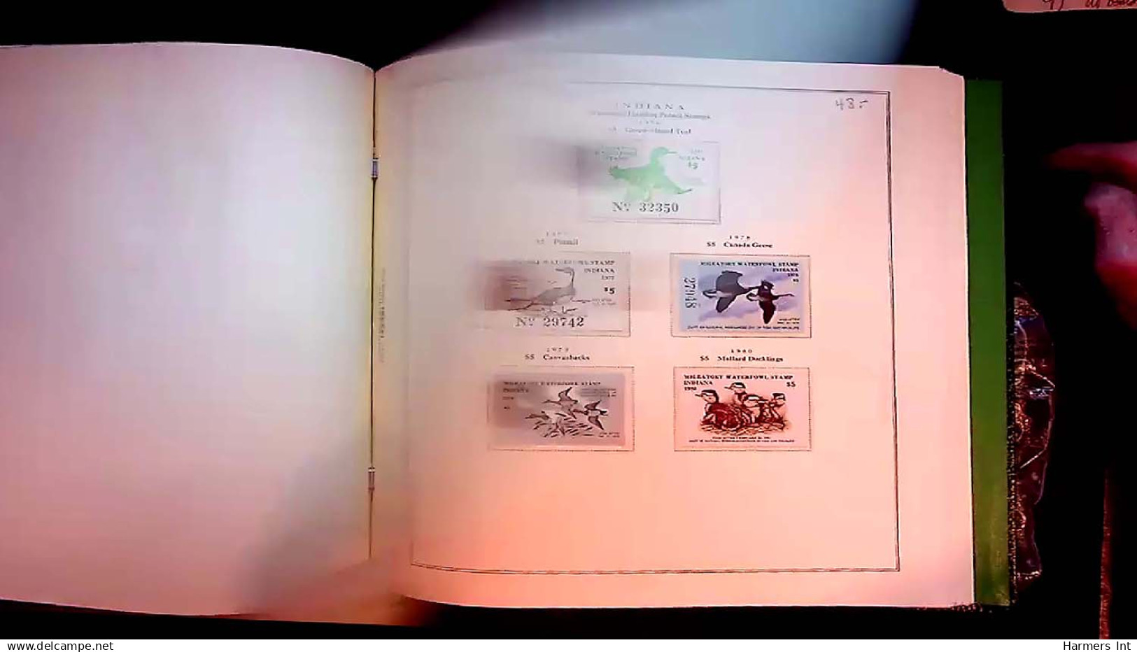 Lot # 059 UNITED STATES: State Duck Stamps: 1978 - 2004 Collection Of Many Hundred In 2 Scott Specialty Albums - Duck Stamps