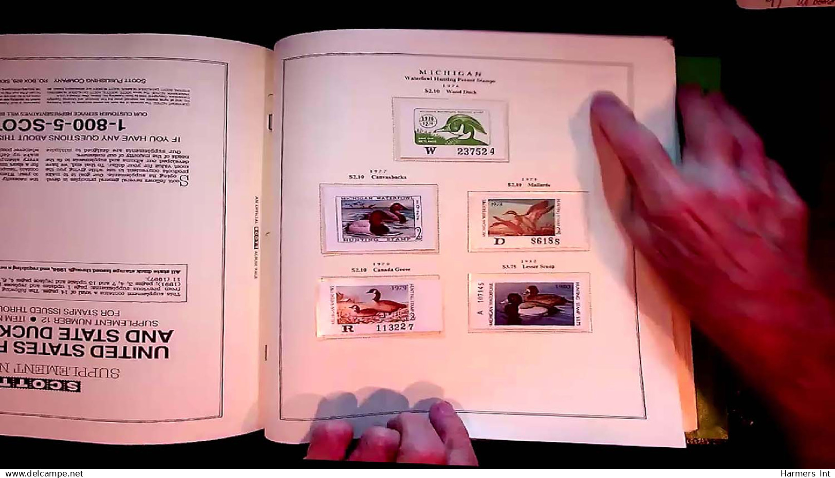 Lot # 059 UNITED STATES: State Duck Stamps: 1978 - 2004 Collection Of Many Hundred In 2 Scott Specialty Albums - Duck Stamps