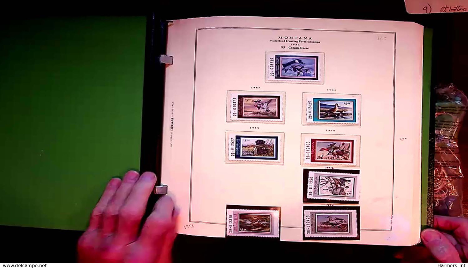 Lot # 059 UNITED STATES: State Duck Stamps: 1978 - 2004 Collection of many hundred in 2 Scott Specialty Albums