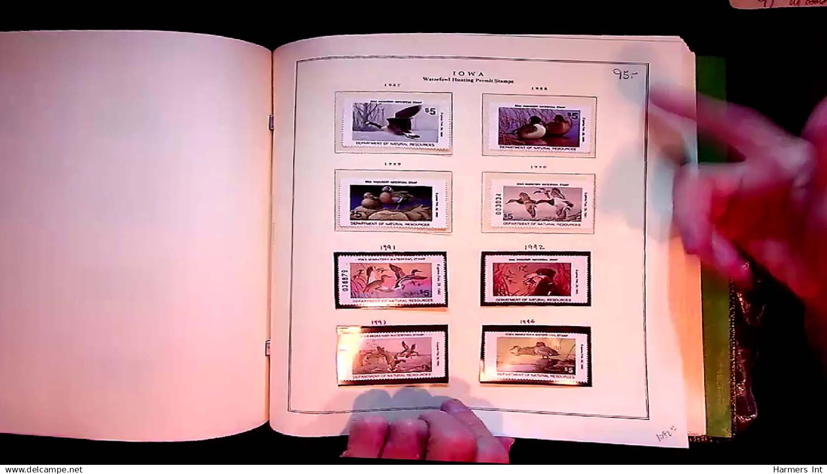 Lot # 059 UNITED STATES: State Duck Stamps: 1978 - 2004 Collection of many hundred in 2 Scott Specialty Albums