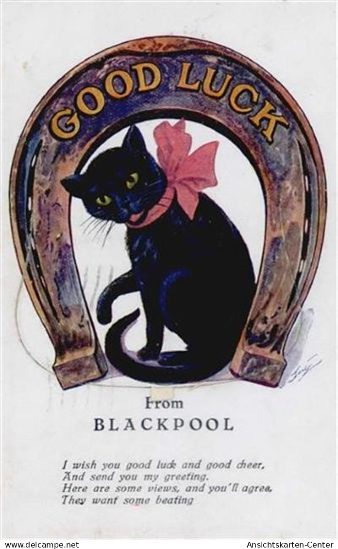 55119693 - Blackpool - Autres & Non Classés