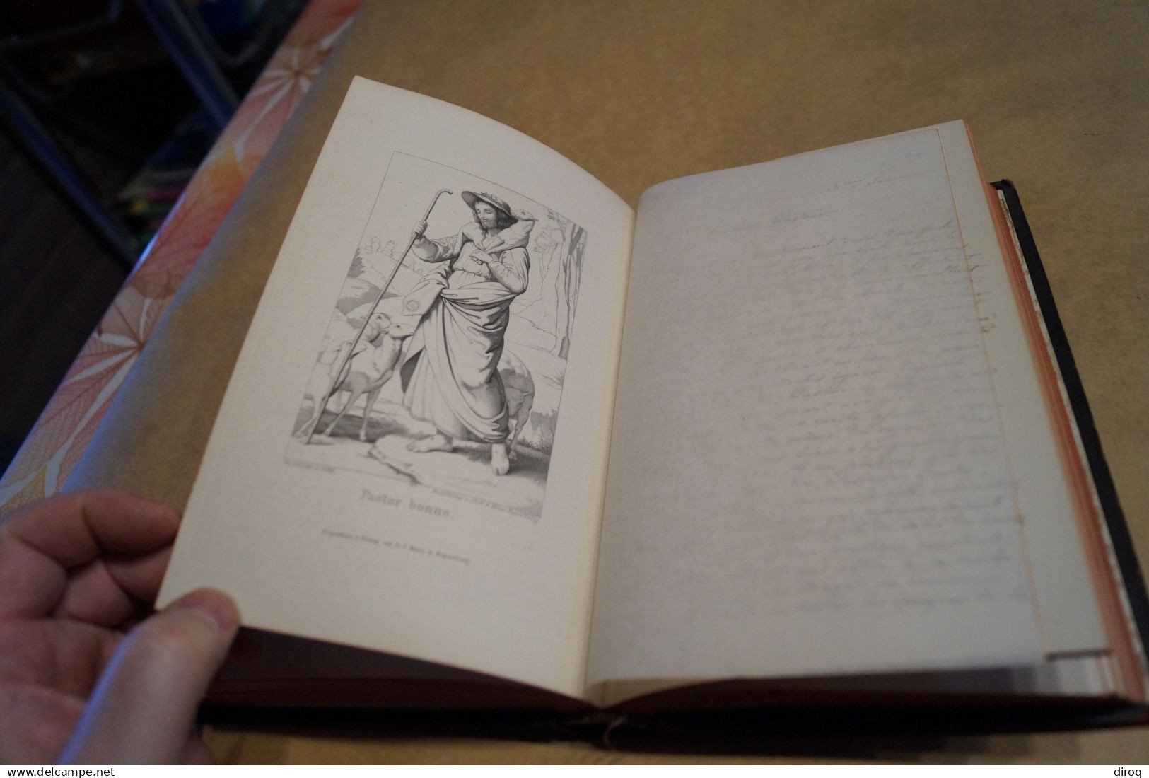 Noblesse,Liège,1861,Mes Souvenirs de Annette Marésal Mathias,Famille 227 pages +13 pages souvenirs,22 Cm. sur 14,5 Cm.