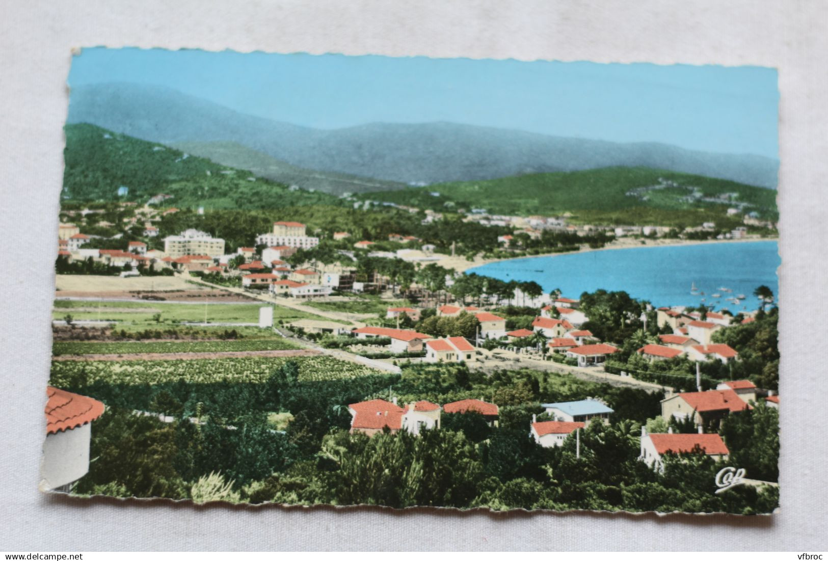 P254, Cpsm 1966, Cavalaire Sur Mer, Vue Générale, Var 83 - Cavalaire-sur-Mer
