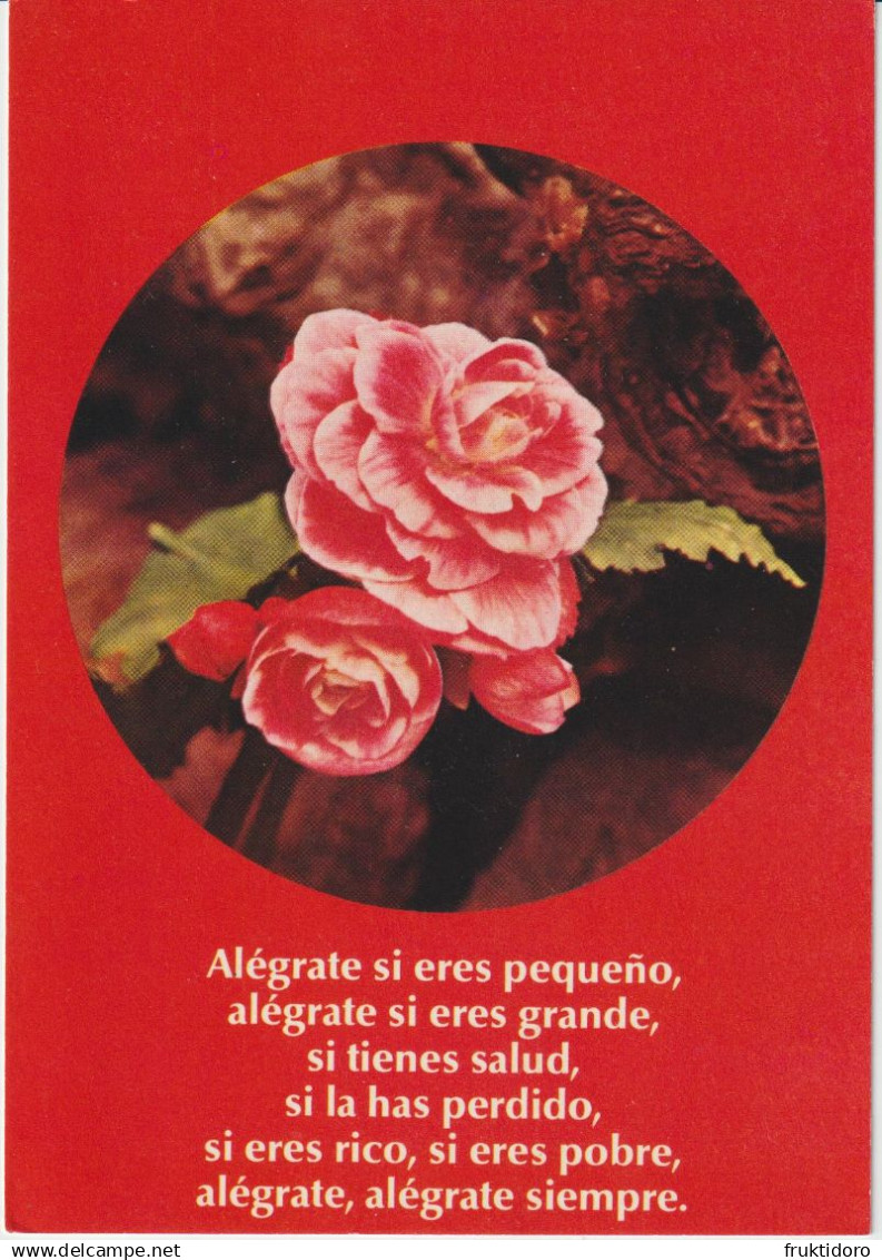 RCAR Argentina Religious Cards - Pronouncement of Religious Vows - St Mary - St Francis of Assisi - Flowers