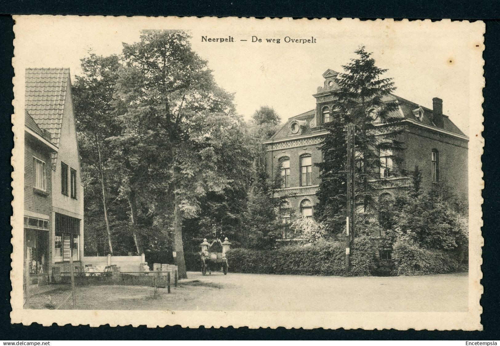 Carte Postale - Belgique - Neerpelt - De Weg Overpelt (CP25450) - Neerpelt