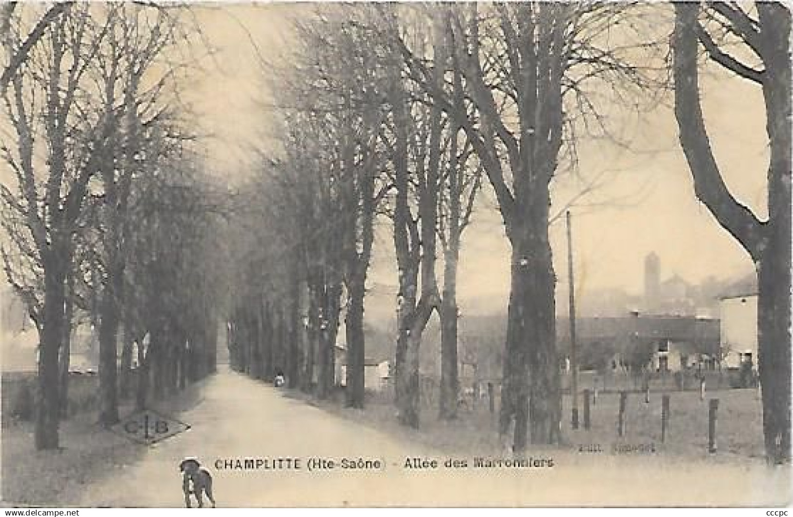 CPA Champlitte Allée Des Marronniers - Champlitte
