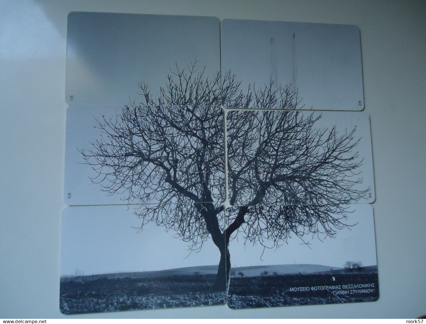 GREECE USED CARDS SET 6 DOUBLE PUZZLES PLANTS TREE  2 SCAN - Puzzles