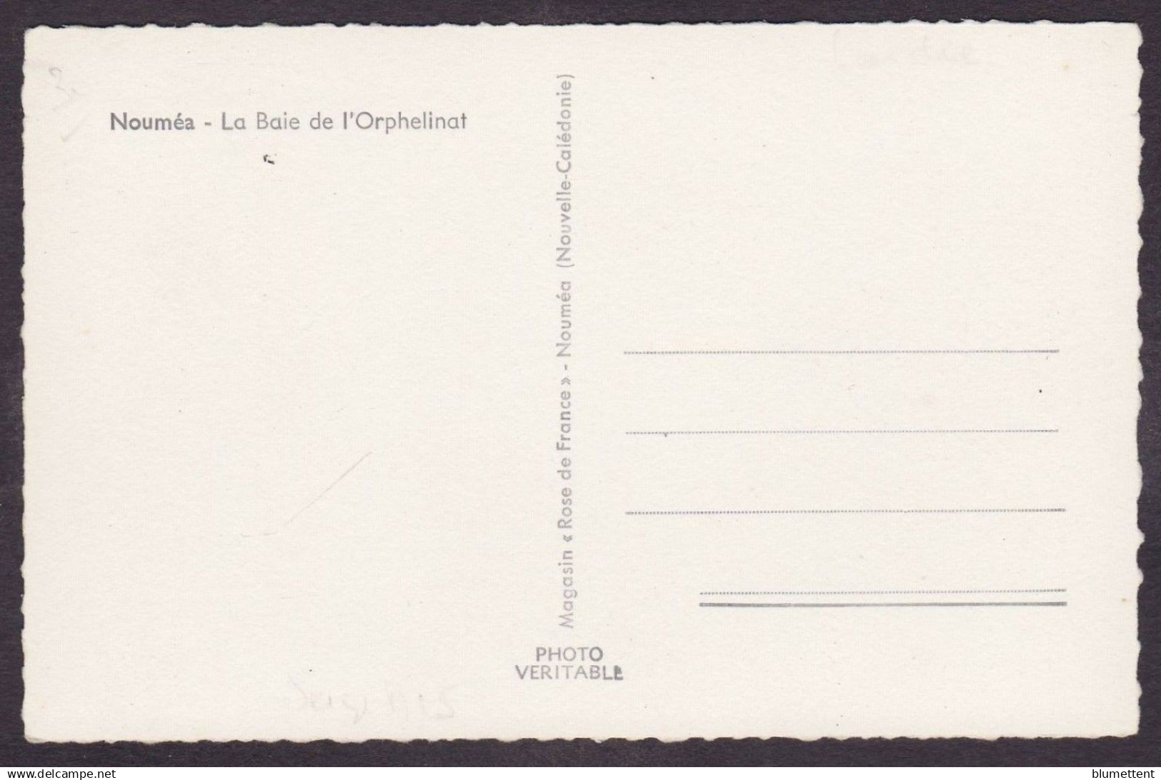 CPSM Nouvelle Calédonie Non Circulé Voir Scan Du Dos - New Caledonia
