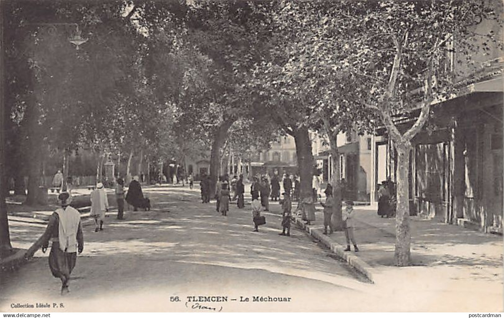 TLEMCEN - Le Méchouar - Tlemcen