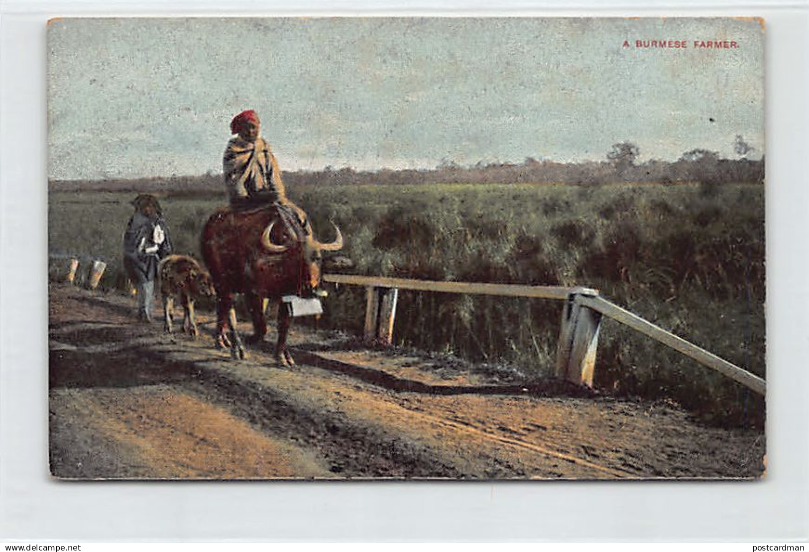 MYANMAR Burma - A Burmese Farmer - Publ. Unknown  - Myanmar (Burma)