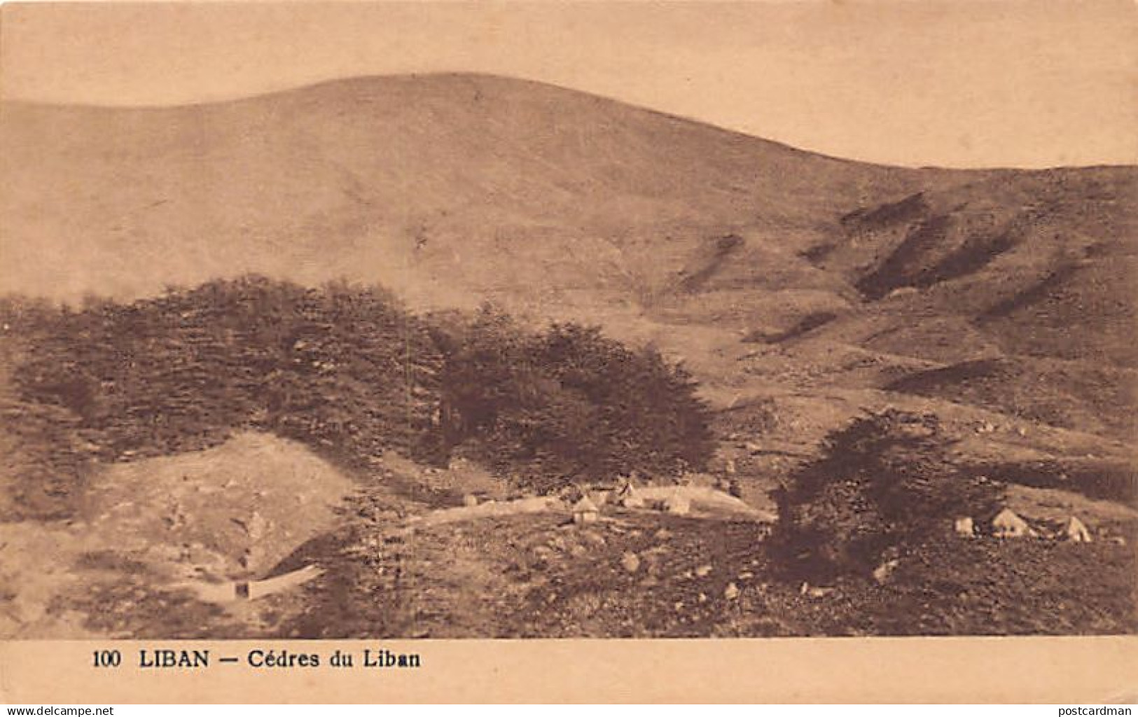 Liban - Cèdres Du Liban - Ed. Joseph Zablith 100 - Liban