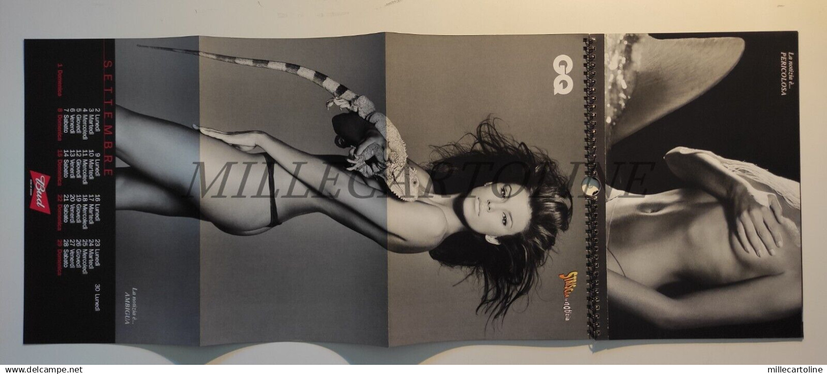 GQ - Striscia Il Calendario 2002 Canalis & Corvaglia, Barbieri - Altri & Non Classificati