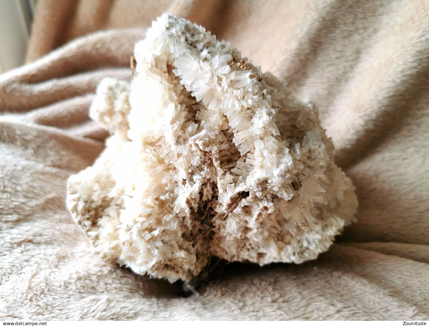 Corail Blanc Fossilisé – 1,628 kg