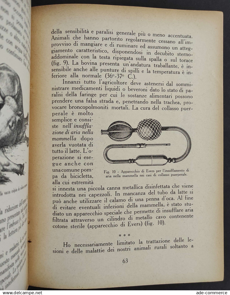 Soccorsi D'Urgenza Al Bestiame - A. Raimondi - Ed. REDA - 1939                                                           - Pets