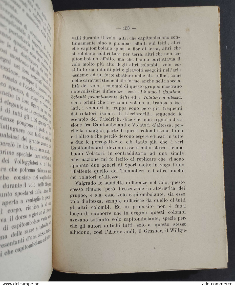 Colombi Commestibili E Sportivi - T. Pascal - Ed. Battiato - 1910                                                        - Pets