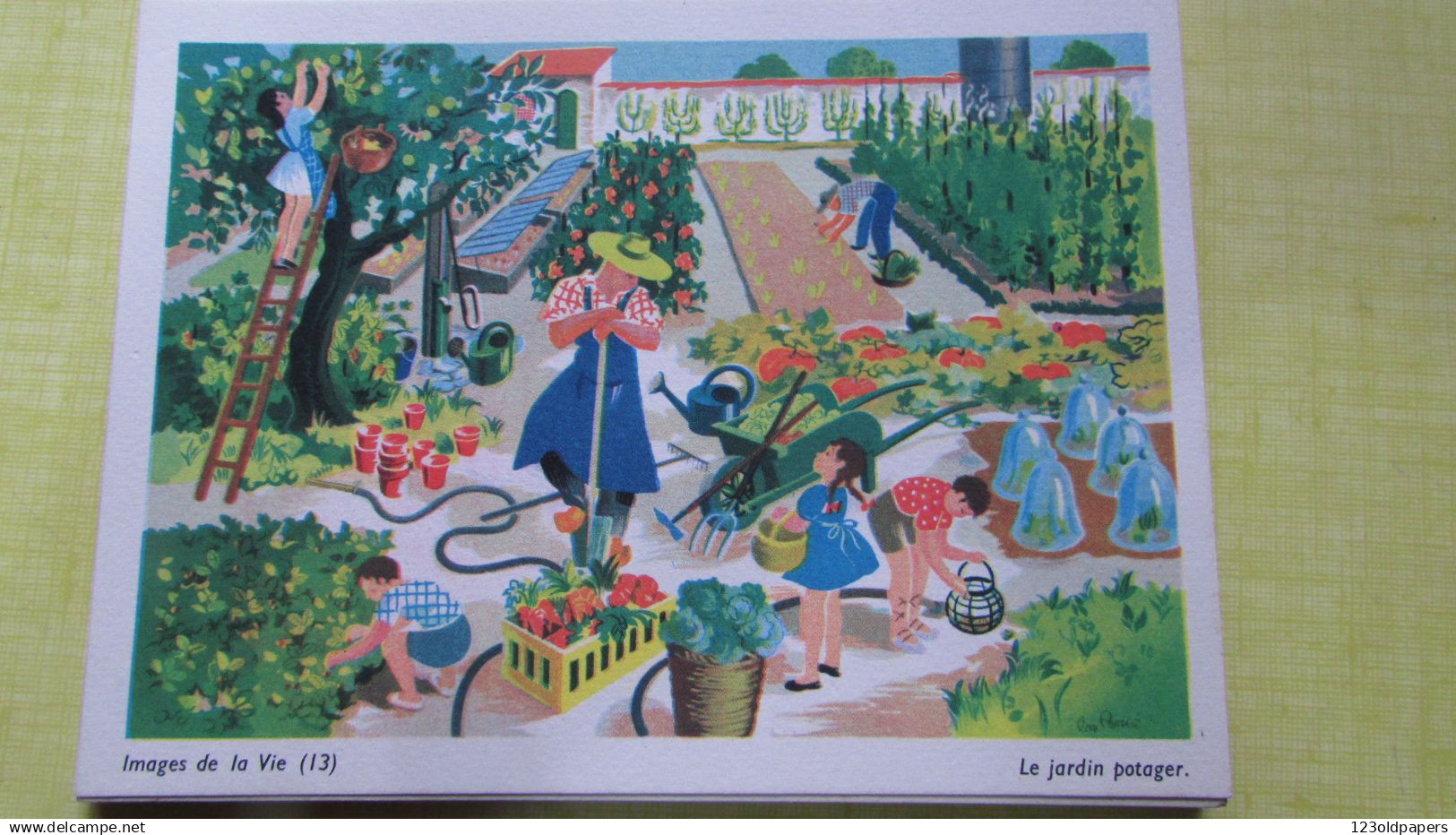ILLUSTRE HELENE POIRIE LN 20 COMPOSITIONS IMAGES DE LA VIE EN POCHETTE TBE COMPLET SCOLAIRE IMAGE