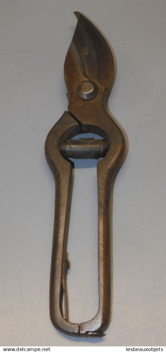 - SECATEUR ANCIEN Gravé JOUSSEAU ANGOULEME  COLLECTION OUTILS De La VIGNE    E - Outils Anciens