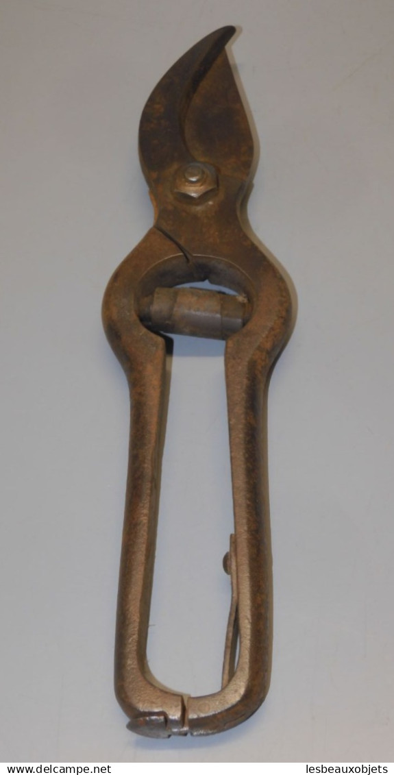 - SECATEUR ANCIEN gravé JOUSSEAU ANGOULEME  COLLECTION OUTILS de la VIGNE    E