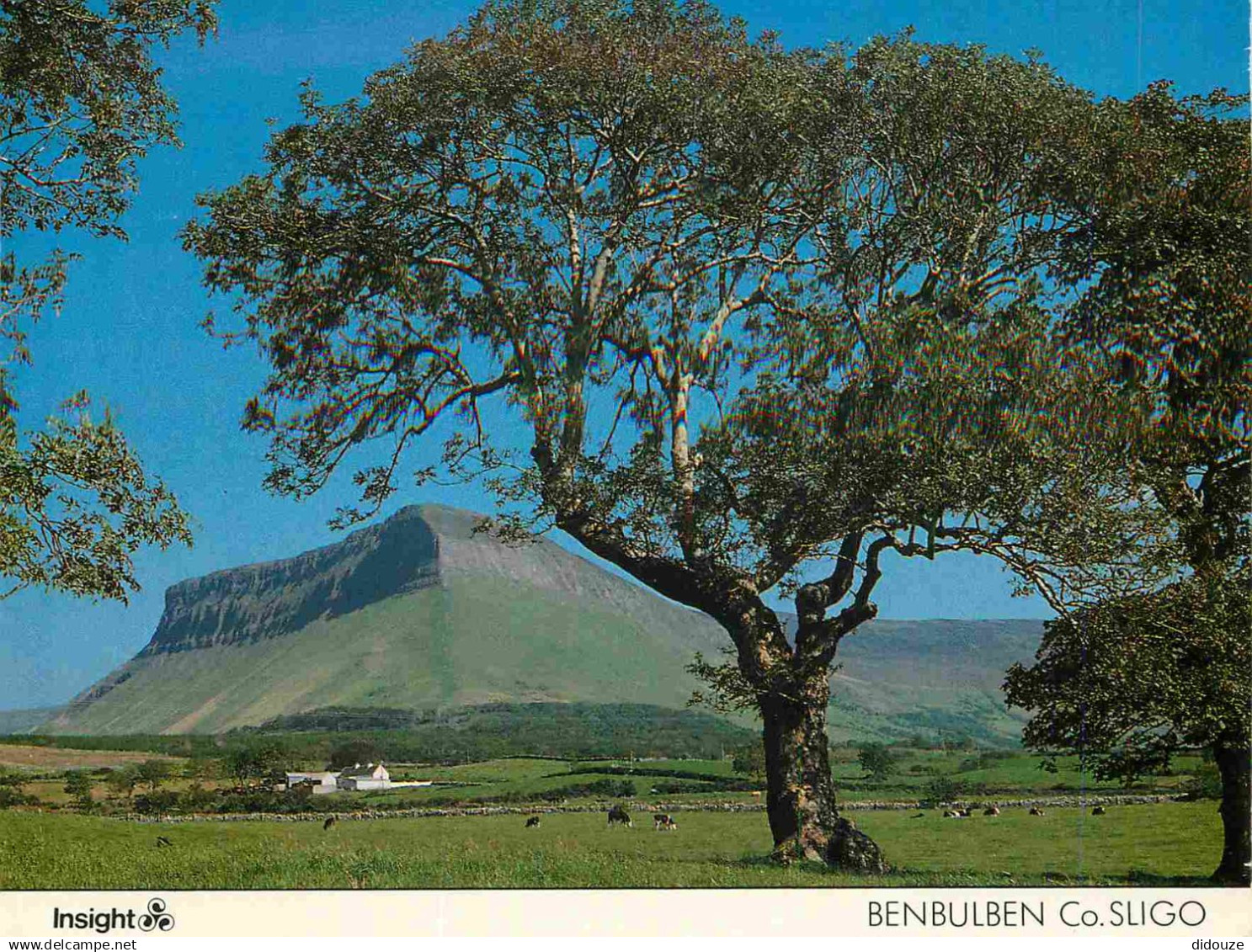 Irlande - Sligo - Benbulben - Ireland - Irlanda - CPM - Voir Scans Recto-Verso - Sligo