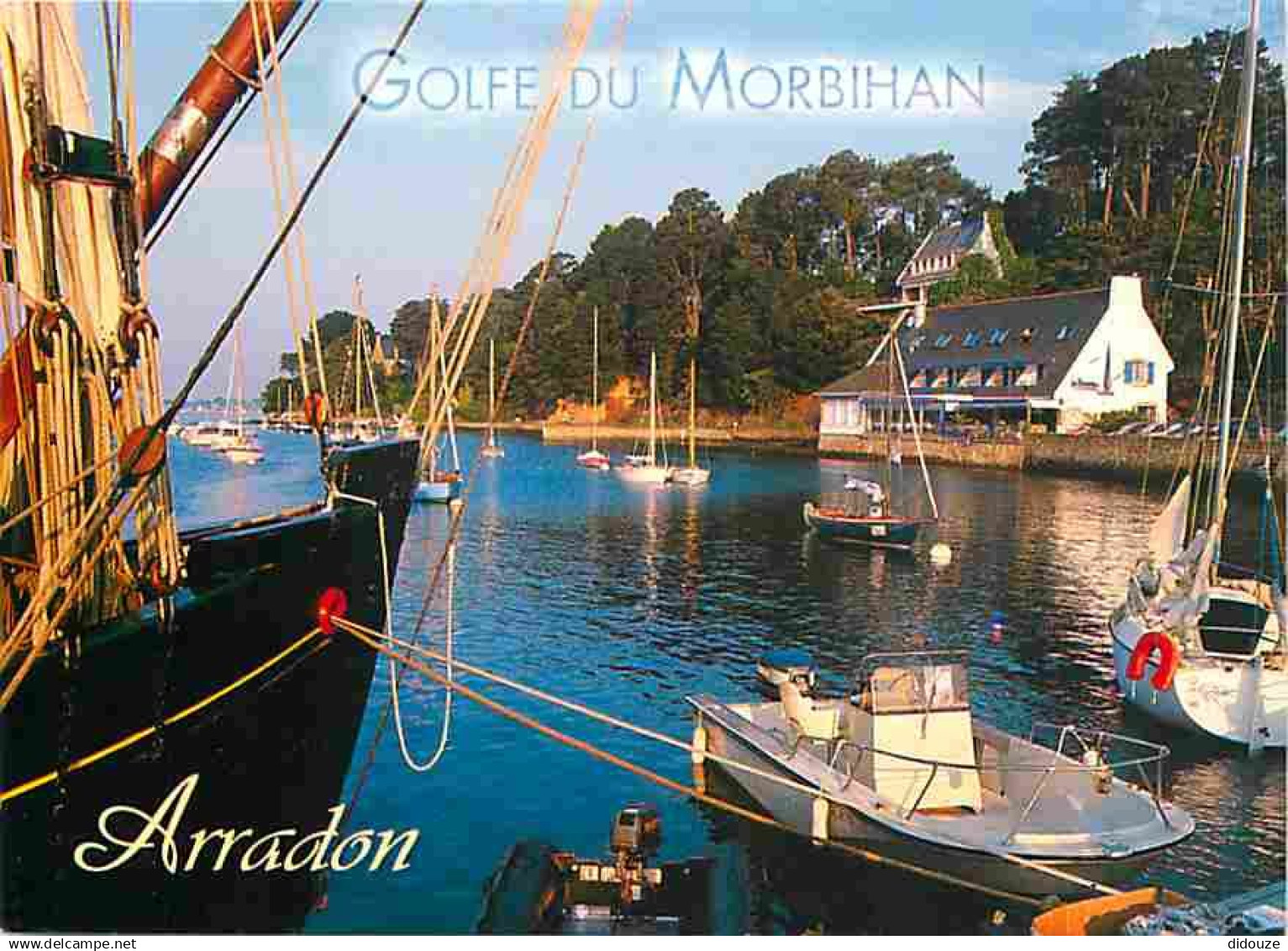 56 - Arradon - Les Rives Boisées Du Golfe - Vue Aérienne - Carte Neuve - CPM - Voir Scans Recto-Verso - Arradon