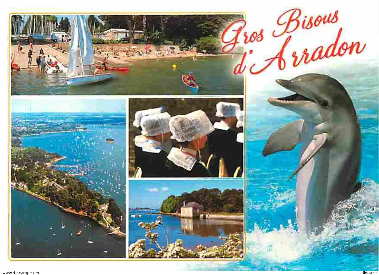 56 - Arradon - Multivues - Dauphins - Folklore - Plages - Carte Neuve - CPM - Voir Scans Recto-Verso - Arradon