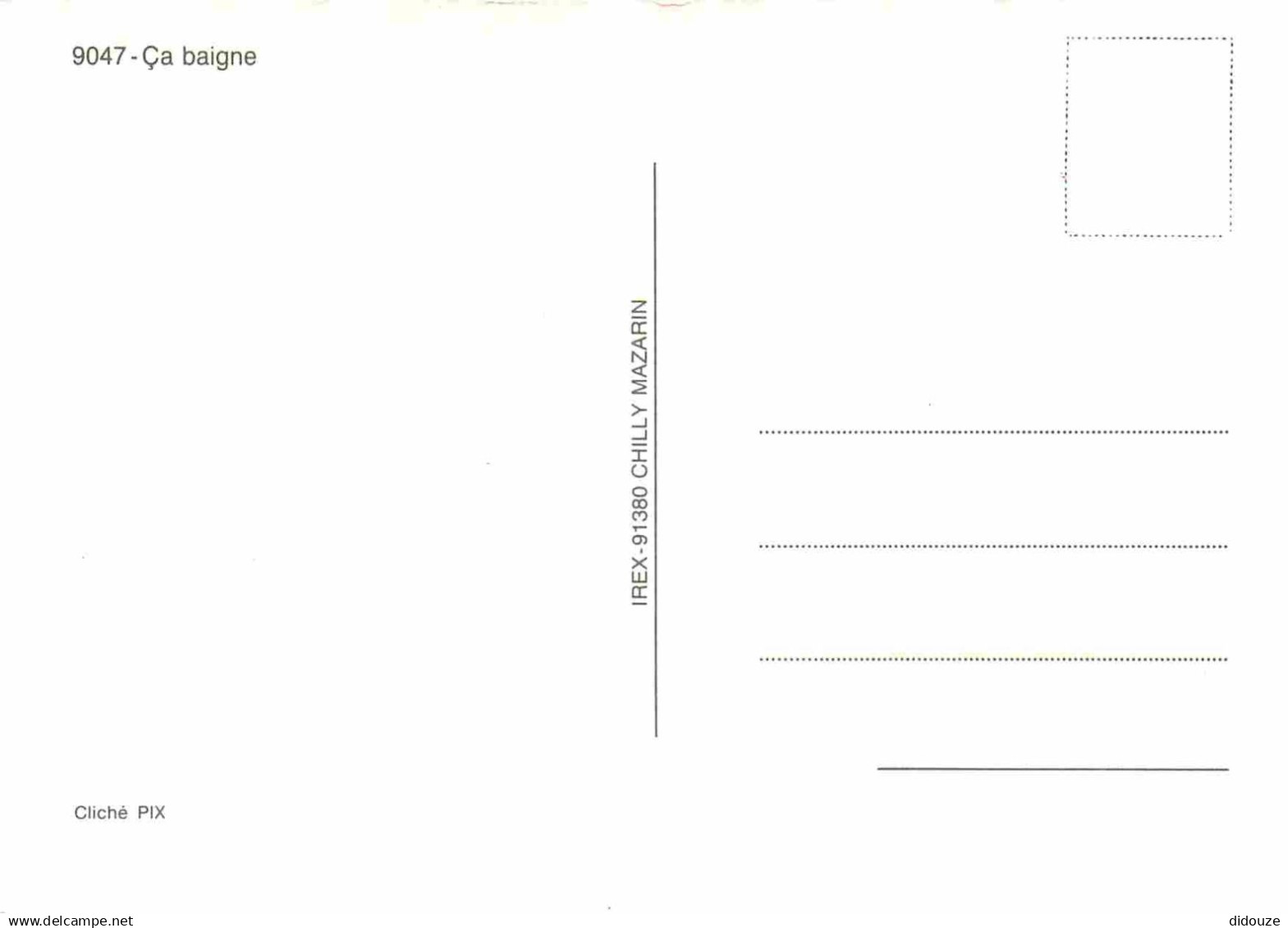 Animaux - Dauphin - Dolphin - Carte à Message - CPM - Carte Neuve - Voir Scans Recto-Verso - Delphine