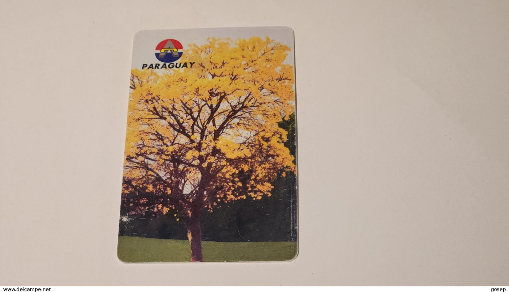 Paraguay-(PY-ANT-0016A)-Lapacho En Flor, National Tree-(19)-(02015137 )(10 Impulsos)(tirage-210.000)-used - Paraguay