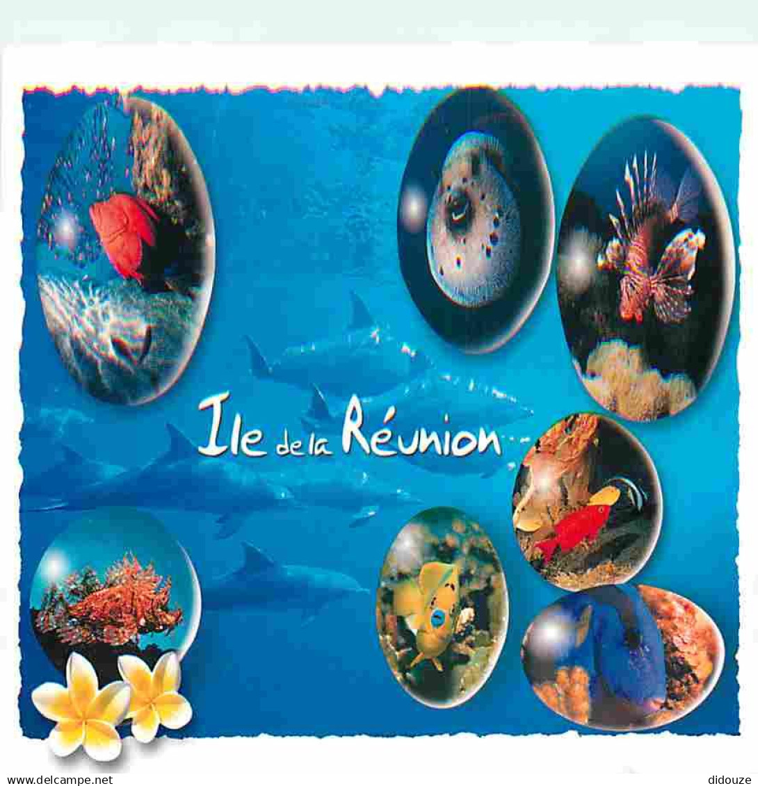 La Réunion - Poissons De La Réunion - Multivues - CPM - Voir Scans Recto-Verso - Autres & Non Classés