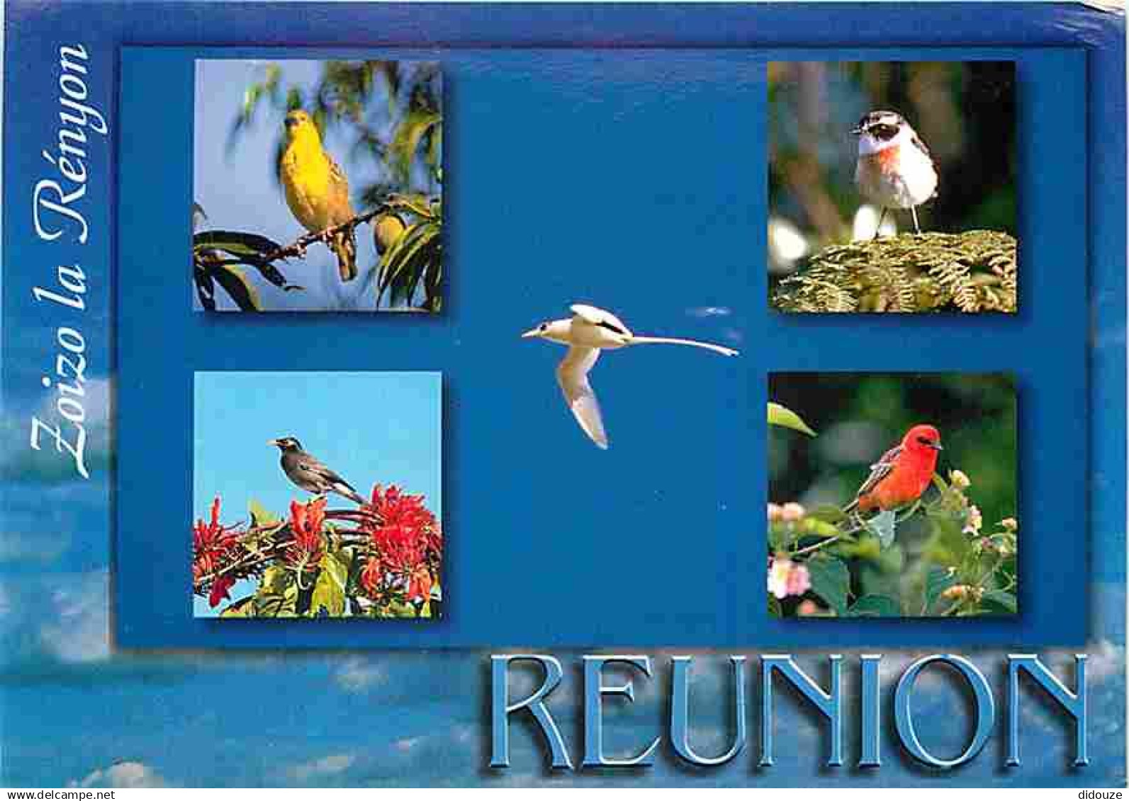La Réunion - Oiseaux De La Réunion - Multivues - CPM - Voir Scans Recto-Verso - Autres & Non Classés