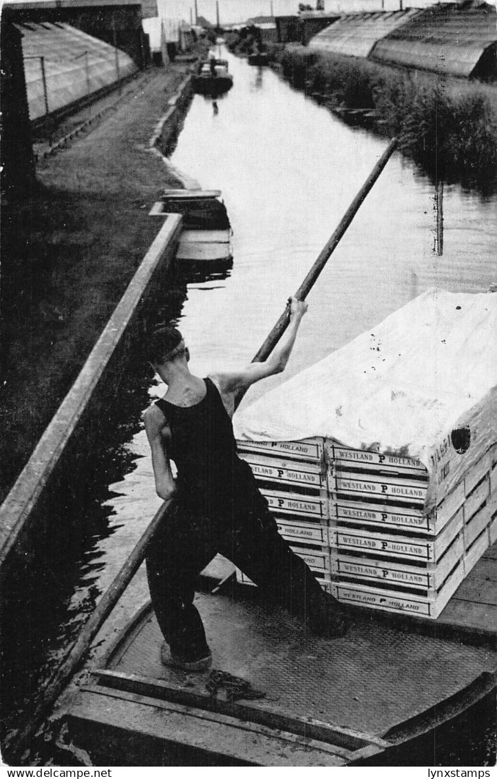 Netherlands Boat Transporting Westland Boxes Man Rowing Zuid Holland Postcard - Autres & Non Classés
