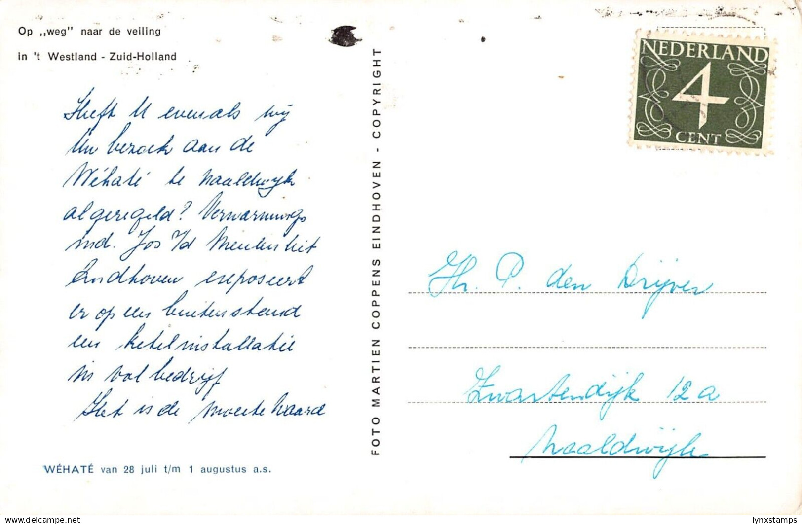 Netherlands Boat Transporting Westland Boxes Man Rowing Zuid Holland Postcard - Autres & Non Classés