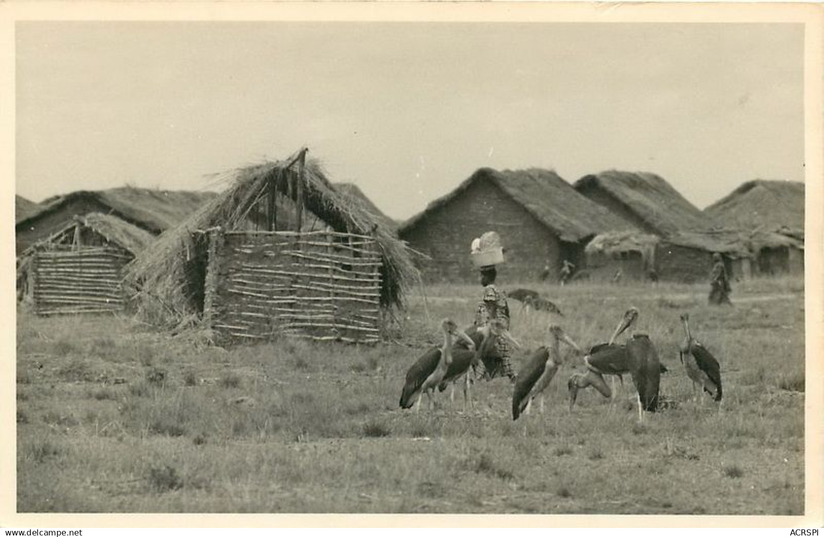 GUINEE CONAKRY Les Oiseaux De Brousse MARABOUT Devant Les Cases 36 (scan Recto-verso)MA1901Ter - French Guinea