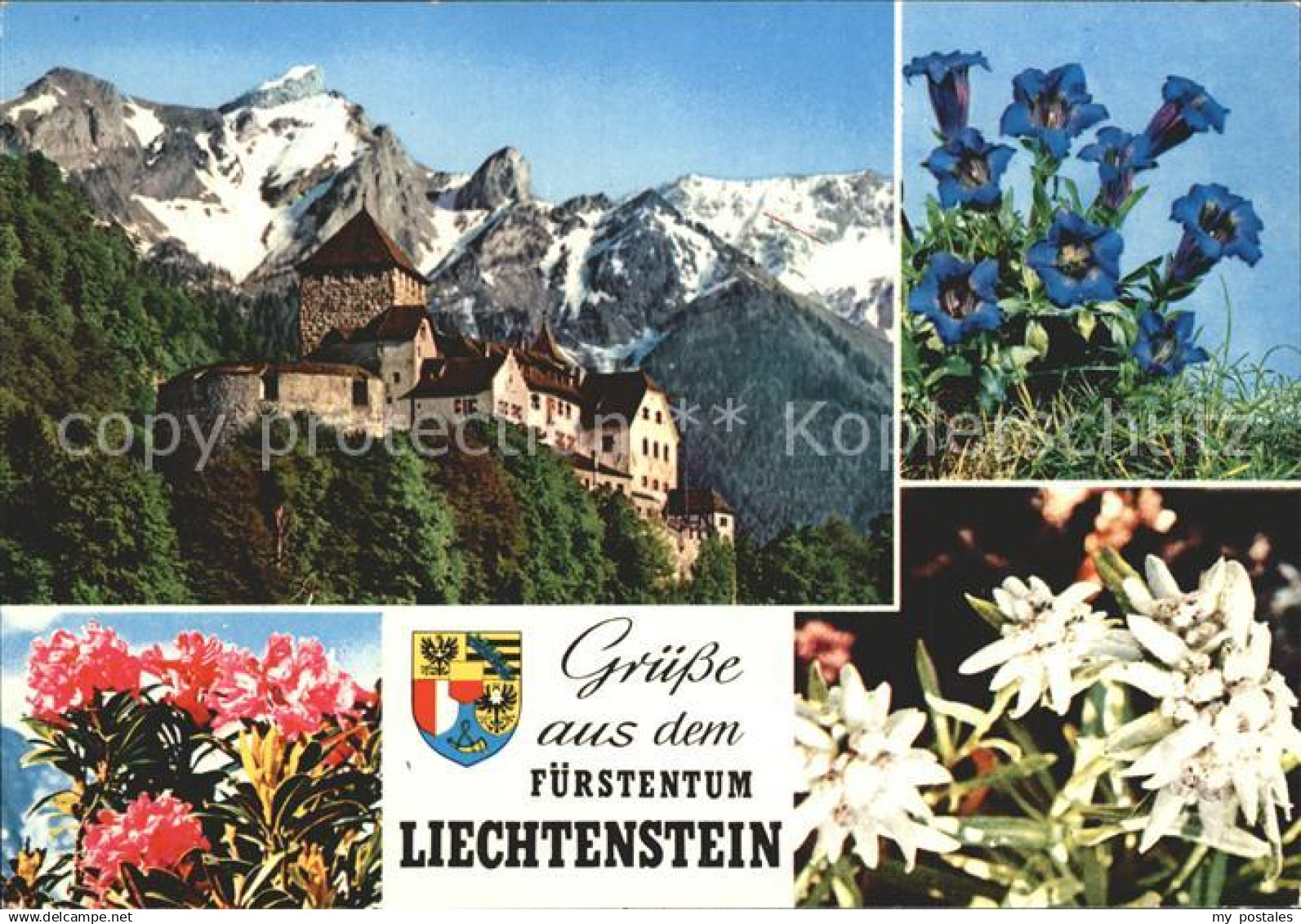 Liechtenstein  Mit Schloss - Liechtenstein