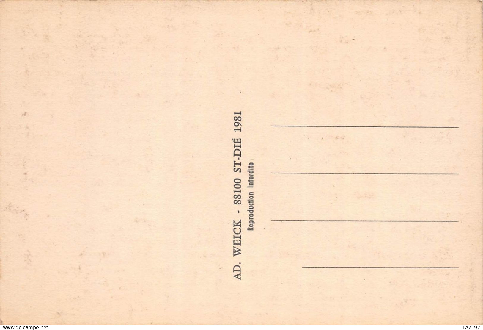 Plainfaing - Carte De 1981 - Plainfaing