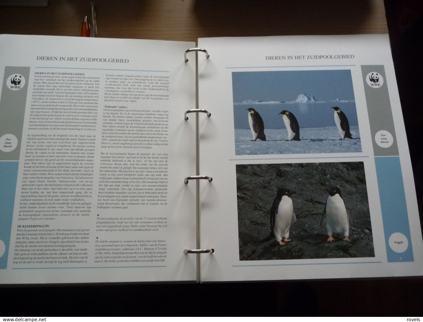 (W1) VERZAMELING WWF IN ORGINELE ALBUM 16 X SET MNH AND 16X4 FDC'S SEE SCANS