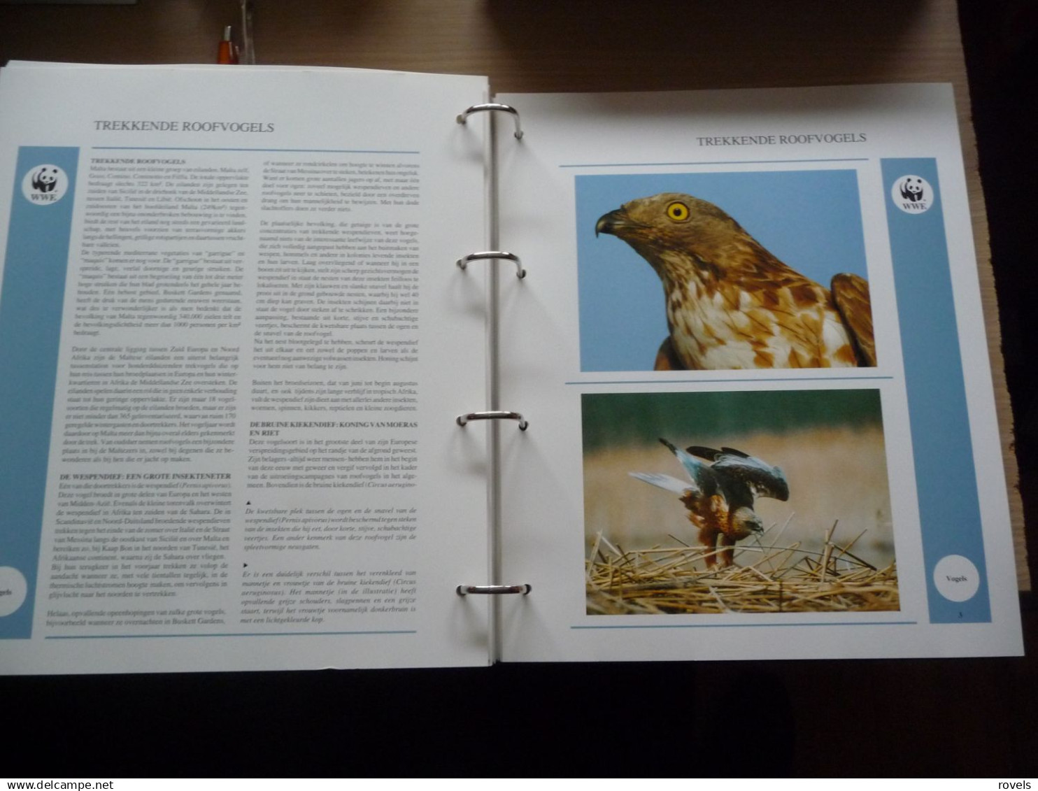 (W1) VERZAMELING WWF IN ORGINELE ALBUM 16 X SET MNH AND 16X4 FDC'S SEE SCANS