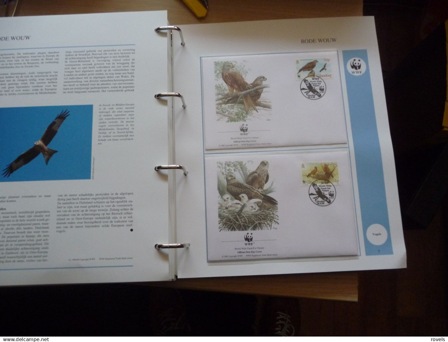 (W5) VERZAMELING WWF IN ORGINELE ALBUM 17 SETS MNH AND  17 X 4 FDC'S  SEE SCAN'S.