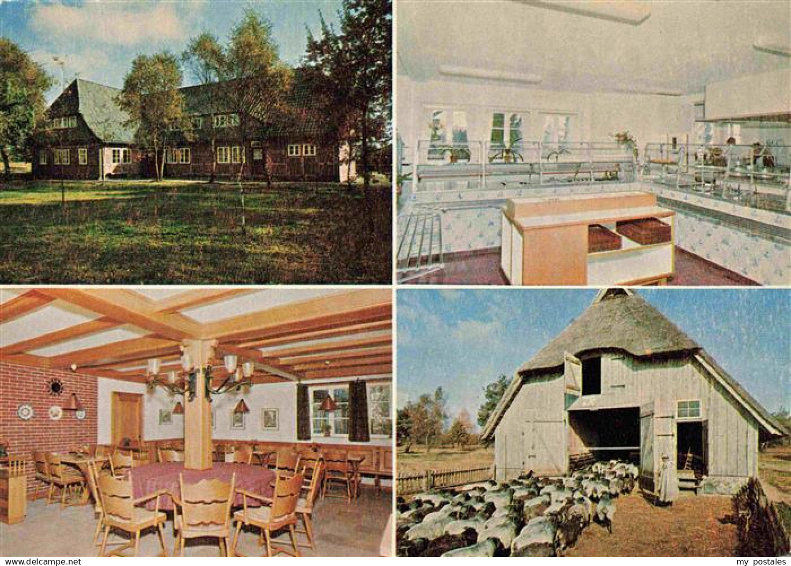 Schneverdingen Pension Gasthof Schaeferhof Gastraum Kueche Schafstall - Schneverdingen