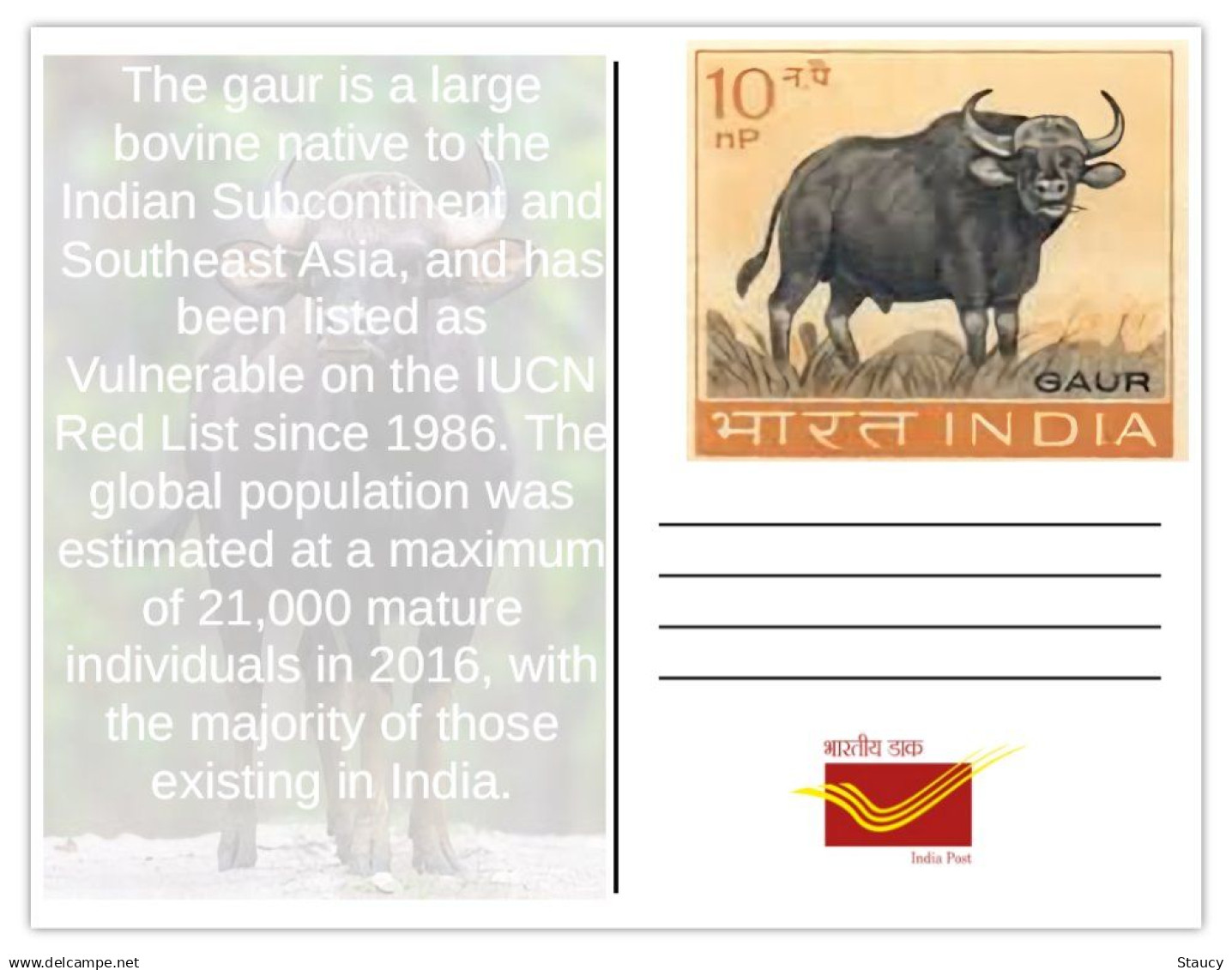 India 2025 BISON / GAUR MINT / BLANK PPC Maxim/Picture Post Card As Per Scan - Stiere