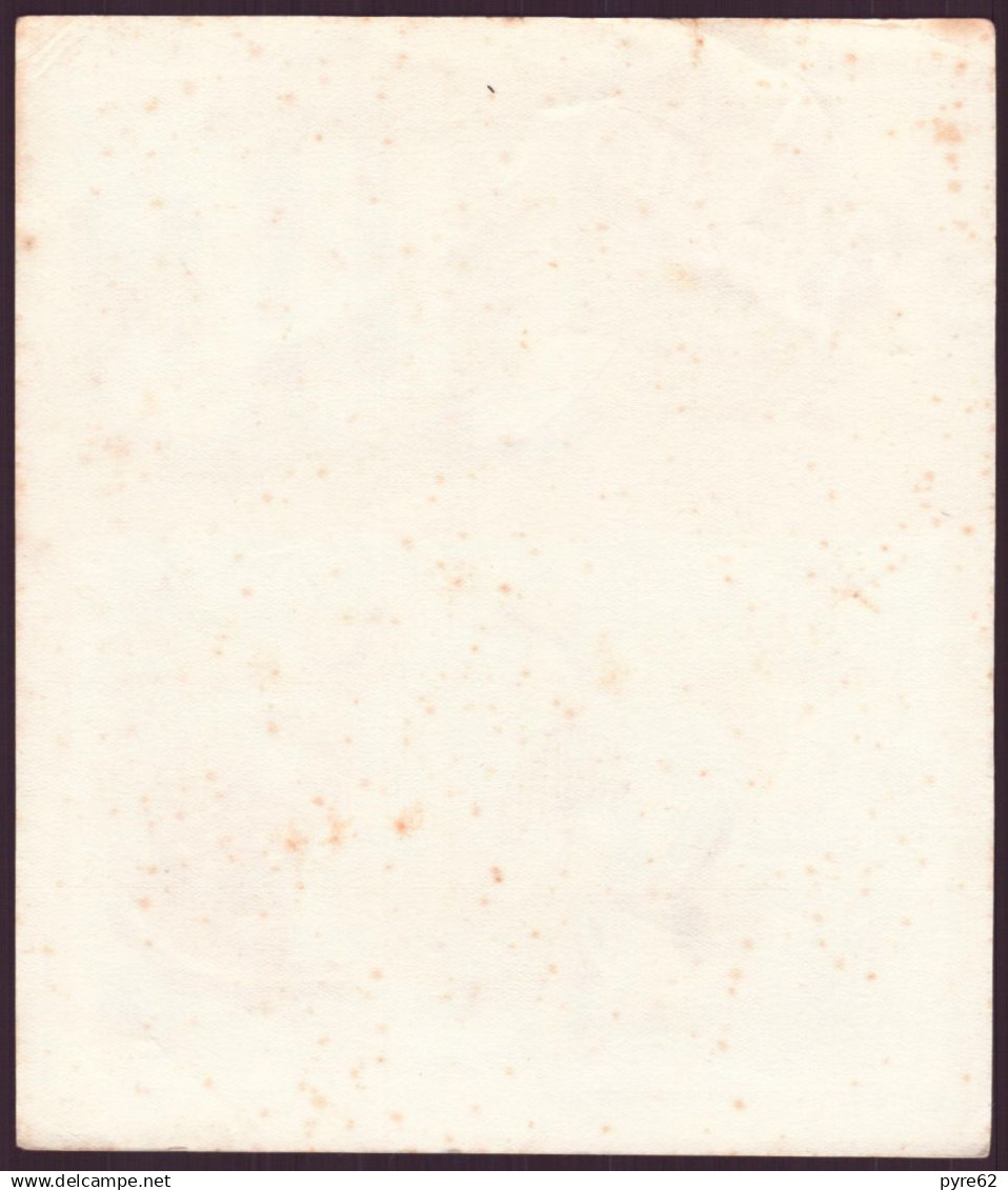 Buvard ( 18 X 15 Cm ) " Biscottes Luc " Savez-vous Planter Des Choux   ( Pliures, Rousseurs, Déchirures ) - Zwieback