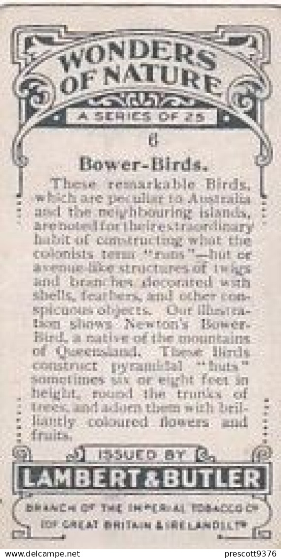 6 BOWER BIRDS --WONDERS OF NATURE 1925 - LAMBERT & BUTLER CIGARETTE CARD  -  3X7CMS - Gallaher