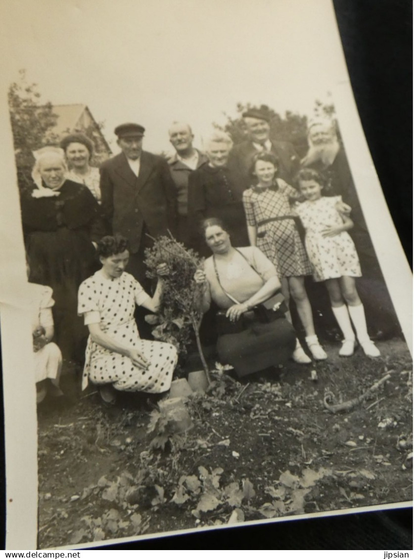 lot de 225 photos et cpa originales de famille -- Cleguer Plougastel - la plupart légendées  Z5